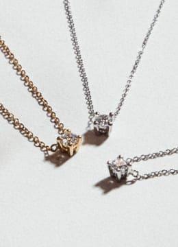 Shop our limited Edition Collaborations